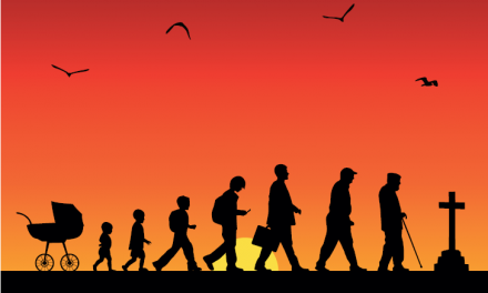 The 7 Primes of Life